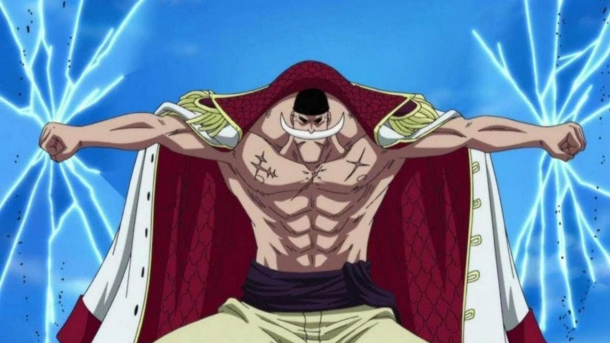 One Piece Captain